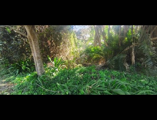 LAND FOR SALE IN GLENMORE BEACH